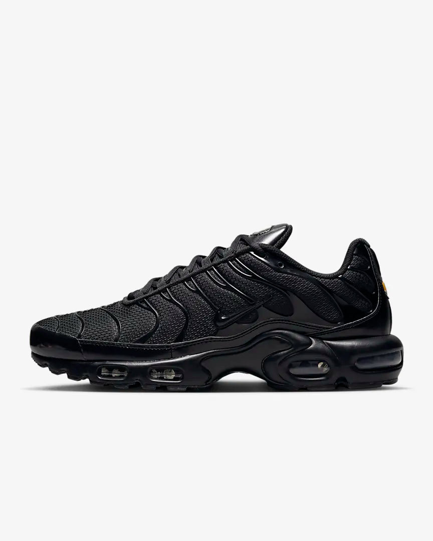 TN 1