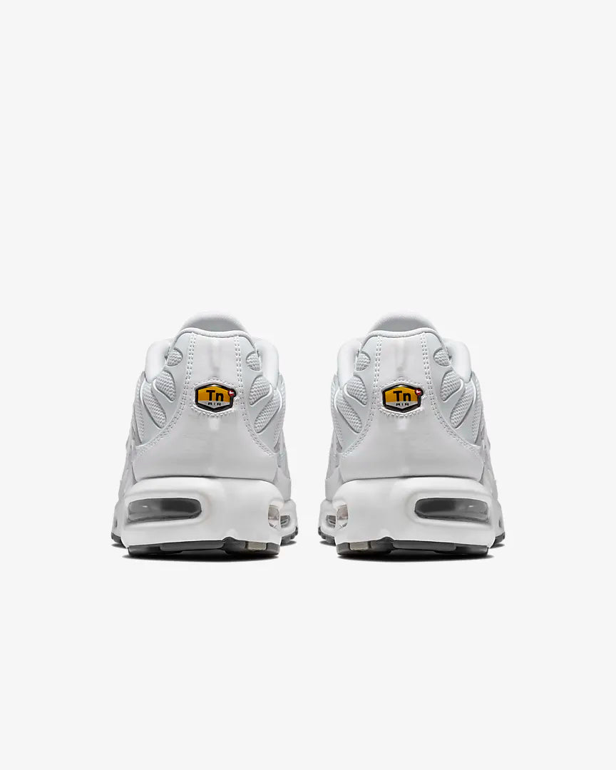 TN 1
